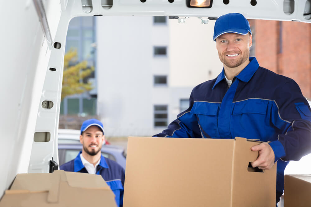 Professional moving companies
